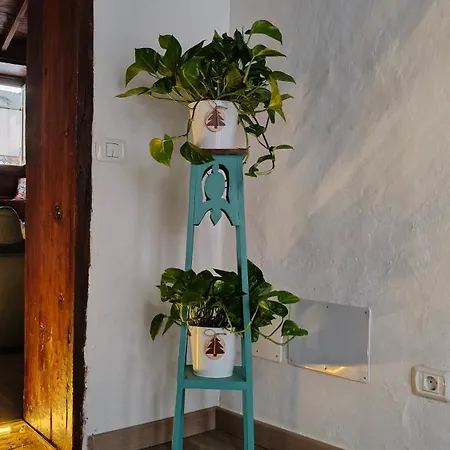 Hébergement de vacances Casa Cecilia, Stylish Canarian Escape In Northwest Tenerife