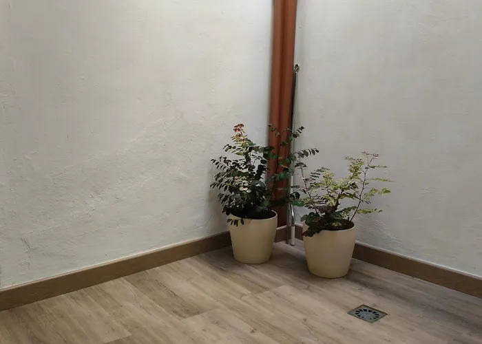 Casa Cecilia * Los Silos