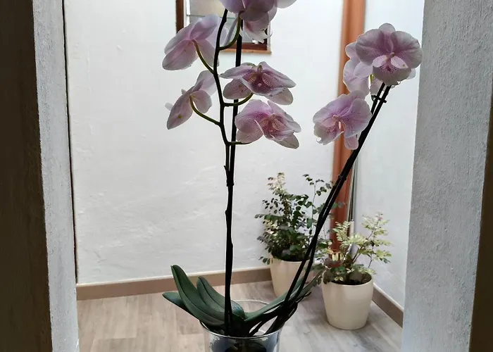 Дом отдыха Casa Cecilia