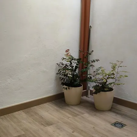 Casa Cecilia * 로스실로스