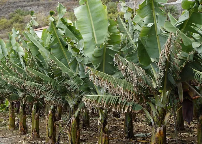 Casa Cecilia Vakantiehuis *